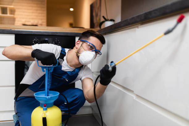 Best Pest Inspection Near Me  in Leipsic, OH