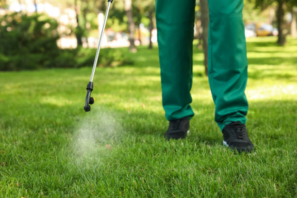 Best Exterminator Services  in Leipsic, OH