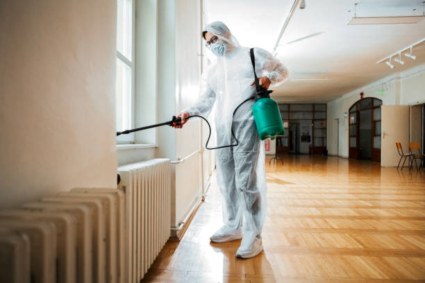 Best Rat Extermination Near Me  in Leipsic, OH