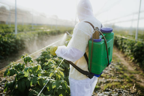 Best Ant Control Services  in Leipsic, OH